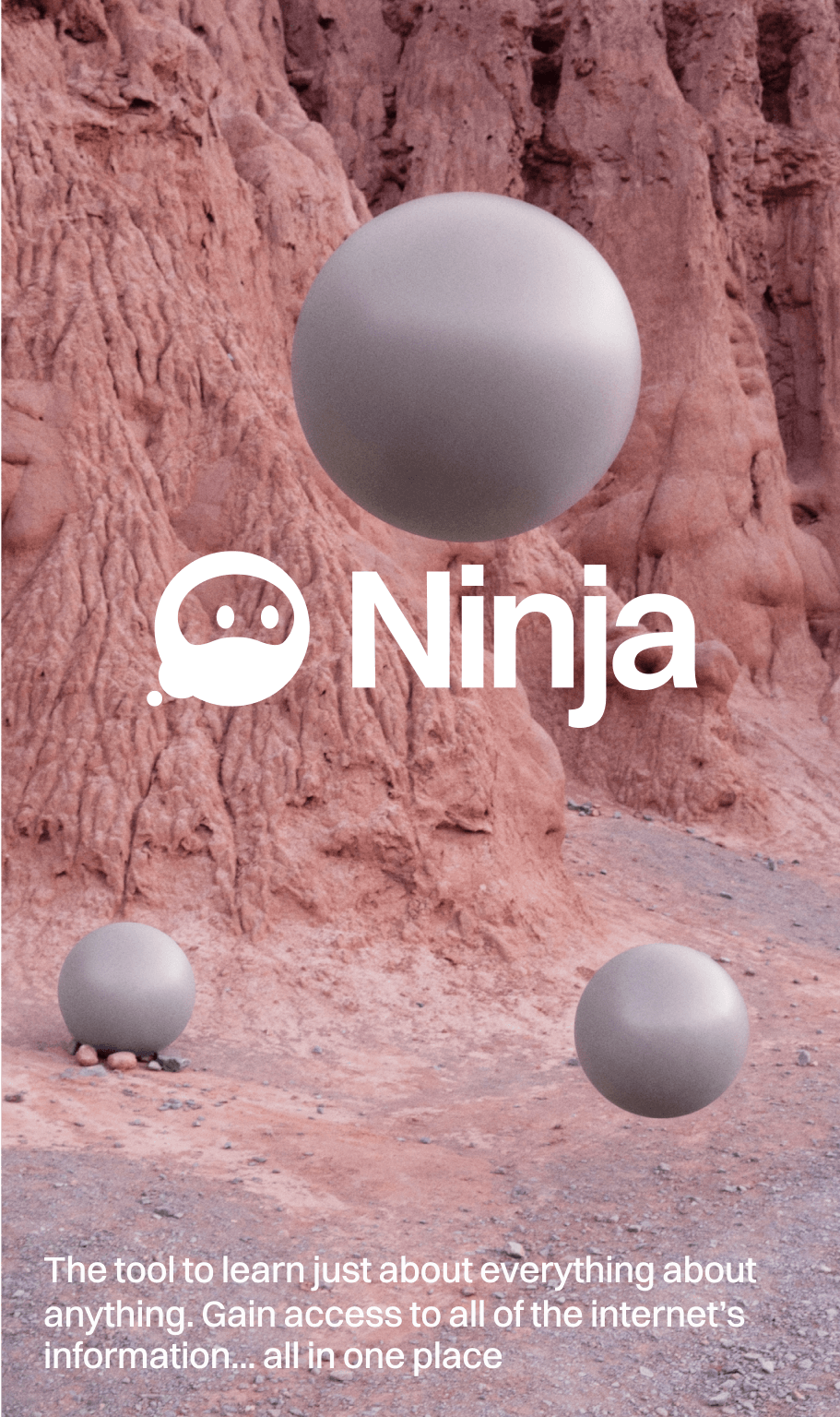 Ninja marketing