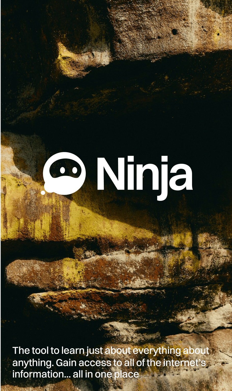 Ninja marketing